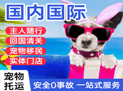 屯溪空运代理国际宠物托运 【国